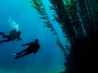 Deep Diver (Tieftauchen)